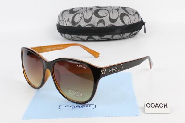 C0ACH Boutique Sunglasses 005